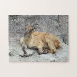 Himalayan Tahr Puzzle Legpuzzel