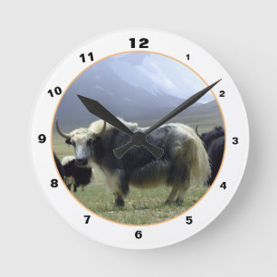 Himalayan Yaks & Mountains in Ladakh/yak Tibet Ronde Klok