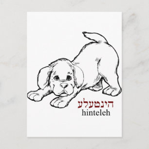 "Hinteleh"-puppy Briefkaart