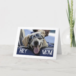 HIP DOG ZEGT: "HEY MAMA" "FIJNE VERJAARDAG" KAART