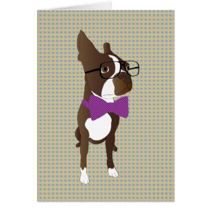 Hippie Boston Terrier