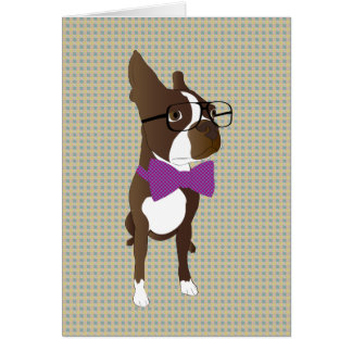 Hippie Boston Terrier