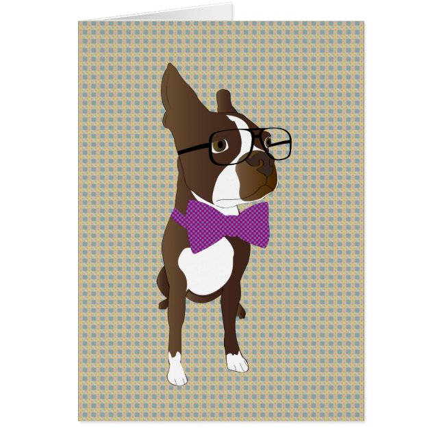 Hippie Boston Terrier (Devant)