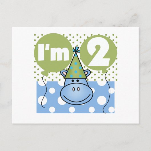 Hippo 2e verjaardag Tshirts en geschenken Briefkaart (Voorkant)