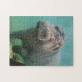 hippo-4 legpuzzel (Horizontaal)