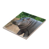 hippo-6 tegeltje (Zijkant)
