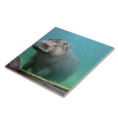 hippo-8 tegeltje (Zijkant)