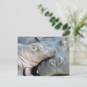 Hippo Briefkaart (Staand voorkant)