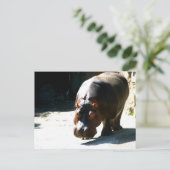 Hippo Briefkaart (Staand voorkant)