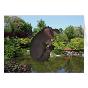 Hippo de canonball