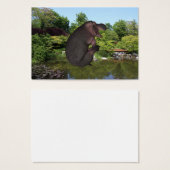 Hippo de canonball (Devant & derrière)