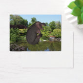Hippo de canonball (Bureau)