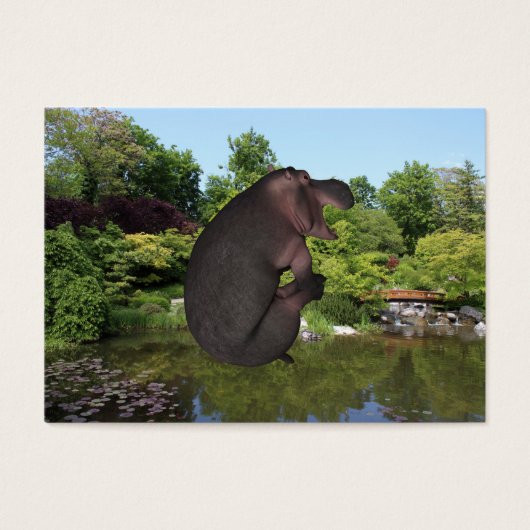 Hippo de canonball (Devant)