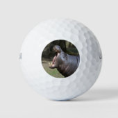 Hippo Golfballen (Voorkant)