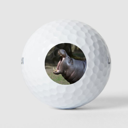 Hippo Golfballen (Voorkant)
