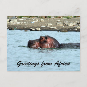 hippo-groeten briefkaart