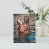 Hippo Head Briefkaart (Staand voorkant)
