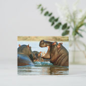 Hippo - Horse Briefkaart (Staand voorkant)