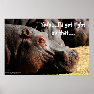 Hippo-houding "Ik kom daar meteen aan" poster