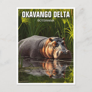Hippo in de Okavango Delta in Botswana Briefkaart