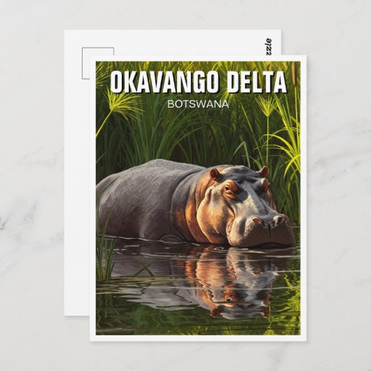 Hippo in de Okavango Delta in Botswana Briefkaart (Voorkant / Achterkant)