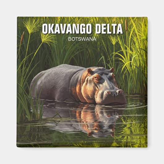 Hippo in de Okavango Delta in Botswana Magneet (Voorkant)