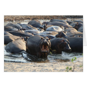 Hippo Kaart - Blank binnen