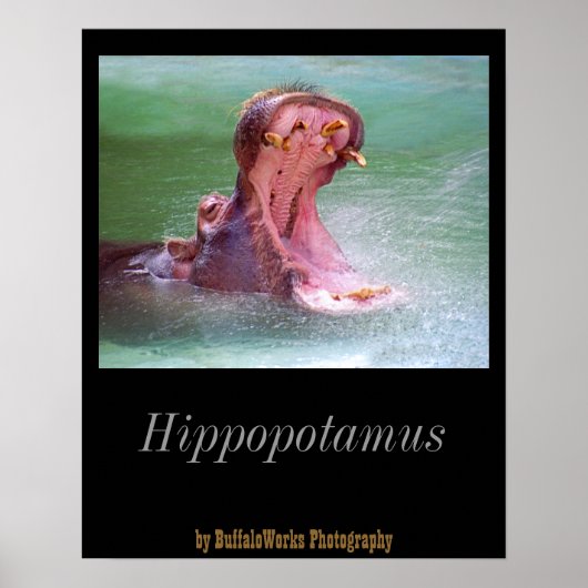 Hippo Mond Open Poster (Voorkant)