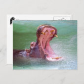 Hippo Mouth Open Briefkaart (Voorkant / Achterkant)