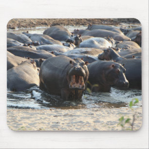 Hippo muismat