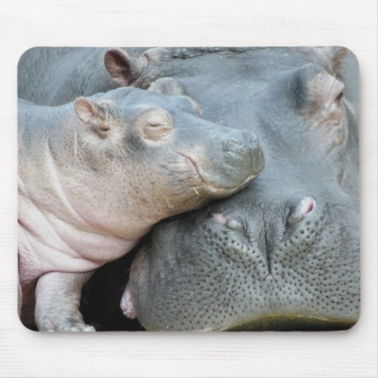 Hippo Muismat (Voorkant)