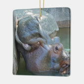 Hippo Ornament (Links)