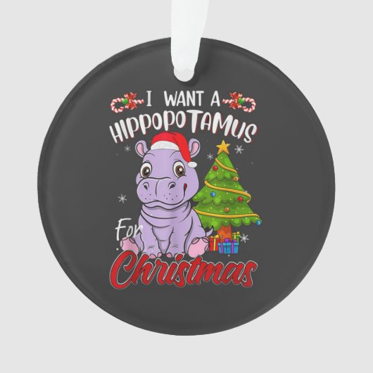HIPPO ORNAMENT (voorkant)