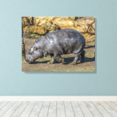 Hippo pygmée au zoo imprimé de toile (Insitu (Plancher de Bois))