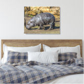 Hippo pygmée au zoo imprimé de toile (Insitu(Chambre))