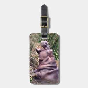Hippo Roar, Bagagelabel