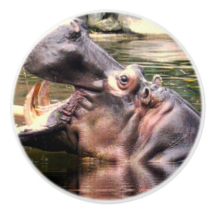 Hippo Roar Keramische Knop