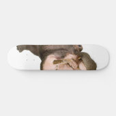 Hippo Skateboard (Horizontaal)
