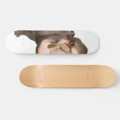 Hippo Skateboard (Horizontaal)