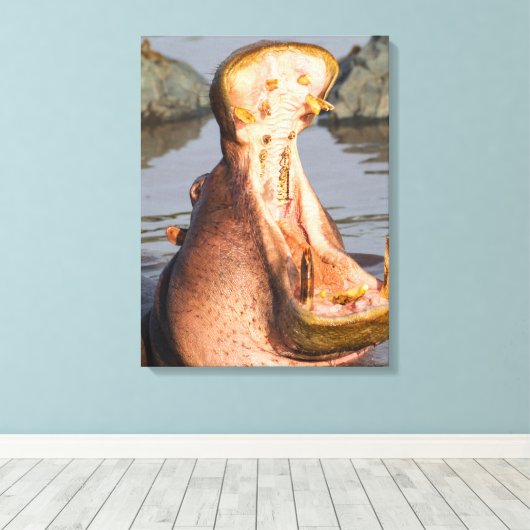 Hippo yawning, Tanzania Canvas Afdruk (Insitu (Houten vloer))