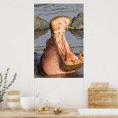 Hippo yawning, Tanzania Poster (Keuken)