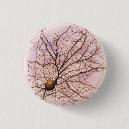 Hippocampal neuron - Button & pinnen