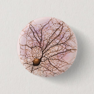 Hippocampal neuron - Button & pinnen