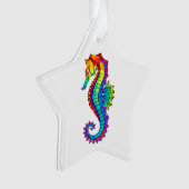 Hippocampe polygonal arc-en-ciel (devant)