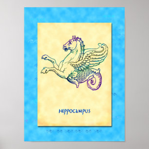 Hippocampus Grieks Zee Paard  Kunst Poster