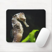 Hippocampus Muismat (Met muis)