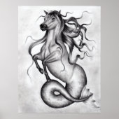 Hippocampus Poster (Voorkant)