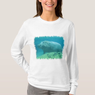 Hippopatumus Habitat Hoodie T-shirt