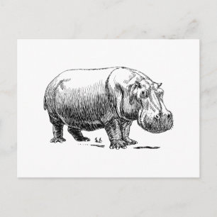 Hippopotamus Briefkaart