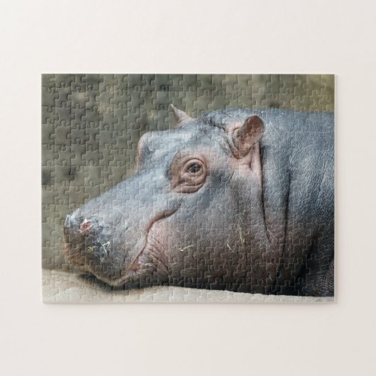 Hippopotamus-fotopuzzel Legpuzzel (Horizontaal)